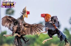 Kinh Nghiệm Hiệu Quả Hơn