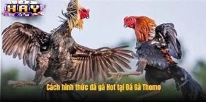 Kinh Nghiệm Hiệu Quả Hơn
