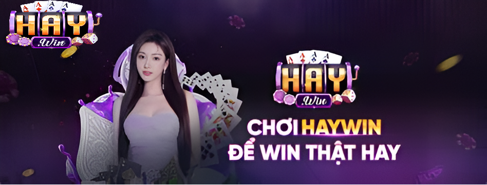 Tổng Quan Giới Thiệu Haywin