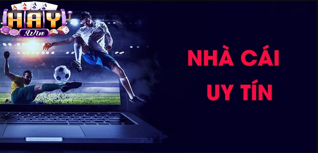 Tổng Quan Về Nền Tảng Haywin