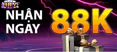 Những Cập Nhật Mới Từ Haywin