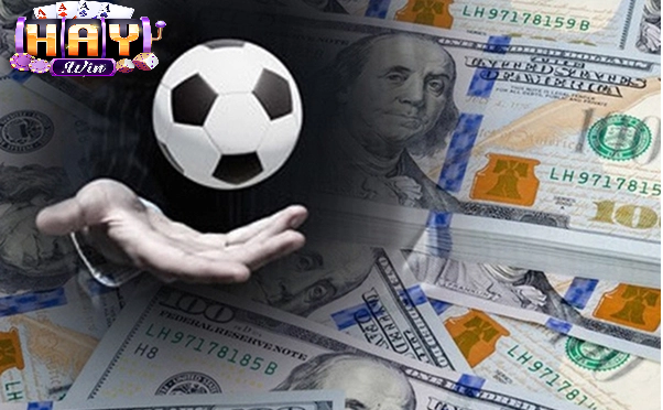 Vai Trò Của Việc Theo Dõi Tin Tức Haywin
