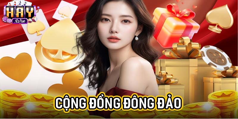 Hành Trình Gây Dựng Thương Hiệu Haywin